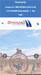 Mobile Screenshot of dynamoplaygrounds.com